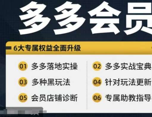 拼多多会员，拼多多实战宝典+实战落地实操，从新手到高阶内容全面覆盖-千寻创业网