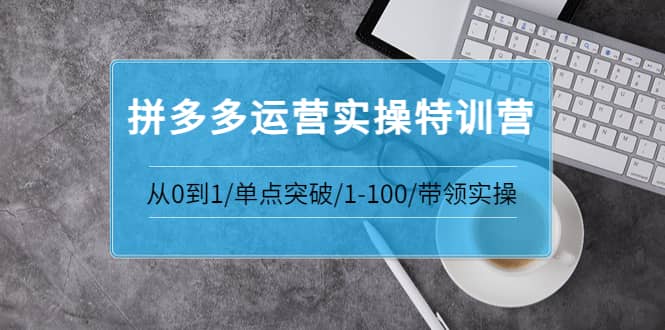 拼多多运营实操特训营：从0到1/单点突破/1-100/带领实操 价值2980元-千寻创业网