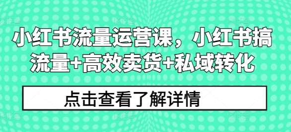 小红书流量运营课，小红书搞流量+高效卖货+私域转化-千寻创业网