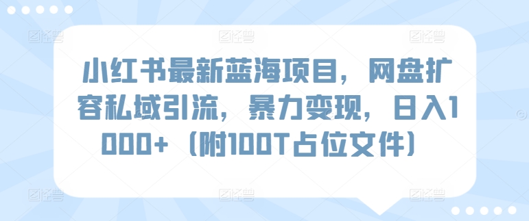 小红书最新蓝海项目，网盘扩容私域引流，暴力变现，日入1000+（附100T占位文件）【揭秘】-千寻创业网