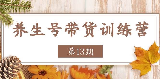 （11275期）养生号-带货训练营【第13期】收益更稳定的玩法，让你带货收益爆炸-千寻创业网