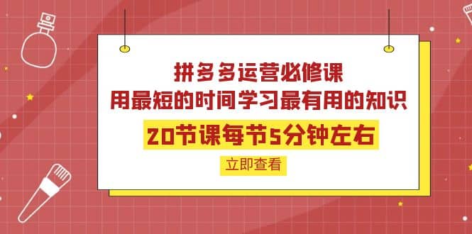 拼多多运营必修课：20节课每节5分钟左右，用最短的时间学习最有用的知识-千寻创业网