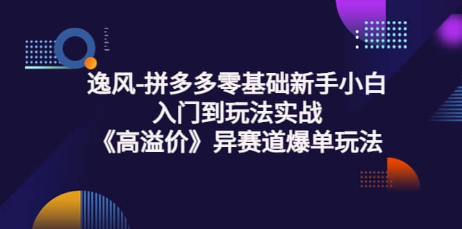 拼多多零基础新手小白入门到玩法实战《高溢价》异赛道爆单玩法实操课-千寻创业网