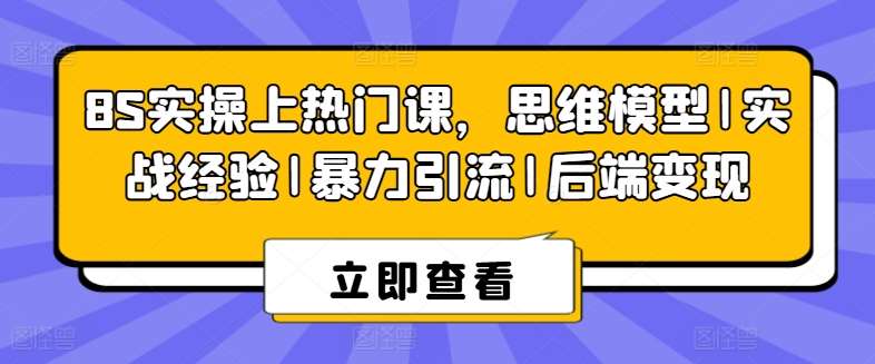 8S实操上热门课，思维模型|实战经验|暴力引流|后端变现-千寻创业网