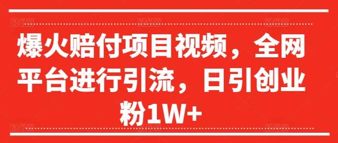 爆火赔付项目视频，全网平台进行引流，日引创业粉1W+【揭秘】-千寻创业网