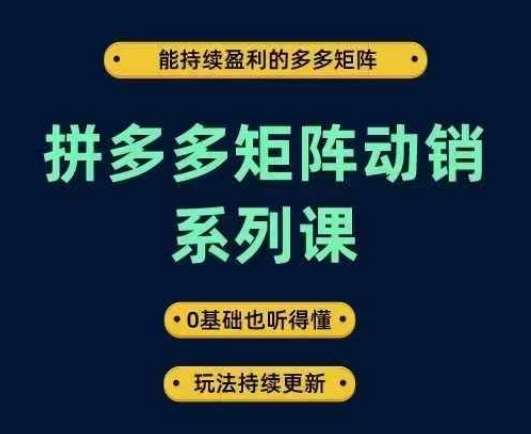 拼多多矩阵动销系列课，能持续盈利的多多矩阵，0基础也听得懂，玩法持续更新-千寻创业网