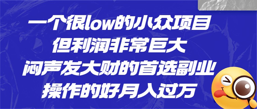 一个很low的小众项目，但利润非常巨大，闷声发大财的首选副业，操作的好月入过万-千寻创业网