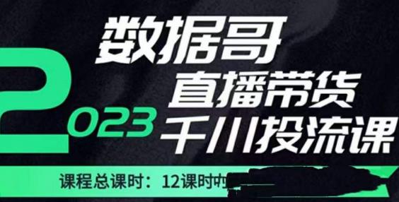 数据哥2023直播电商巨量千川付费投流实操课，快速掌握直播带货运营投放策略-千寻创业网