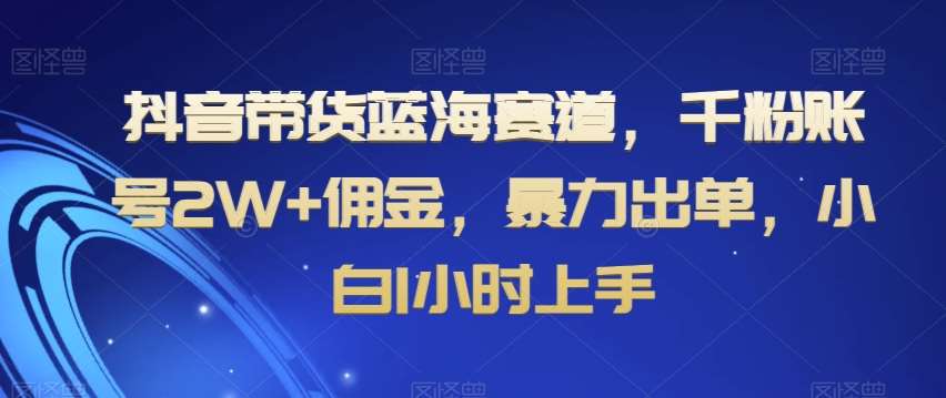 抖音带货蓝海赛道，千粉账号2W+佣金，暴力出单，小白1小时上手【揭秘】-千寻创业网