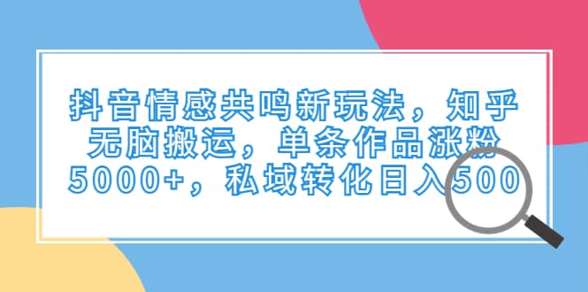 抖音情感共鸣新玩法，知乎无脑搬运，单条作品涨粉5000+，私域转化日入500-千寻创业网