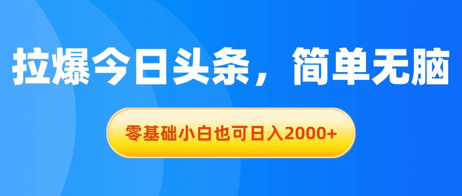 （11077期）拉爆今日头条，简单无脑，零基础小白也可日入2000+-千寻创业网