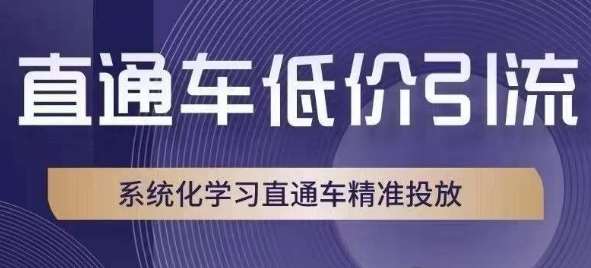 直通车低价引流课，系统化学习直通车精准投放-千寻创业网