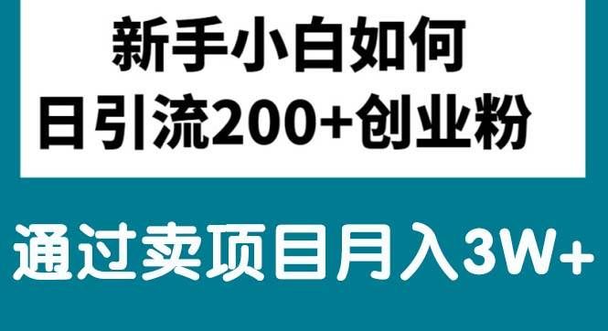 （10843期）新手小白日引流200+创业粉,通过卖项目月入3W+-千寻创业网