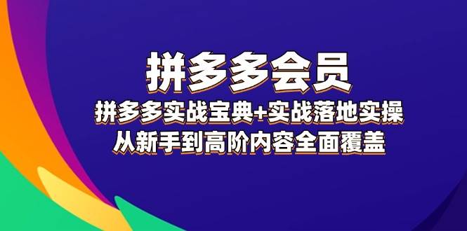 （12056期）拼多多 会员，拼多多实战宝典+实战落地实操，从新手到高阶内容全面覆盖-千寻创业网