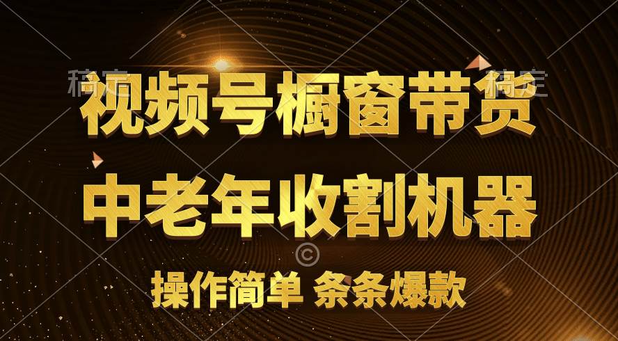 （11009期）[你的孩子成功取得高位]视频号最火爆赛道，橱窗带货，流量分成计划，条…-千寻创业网