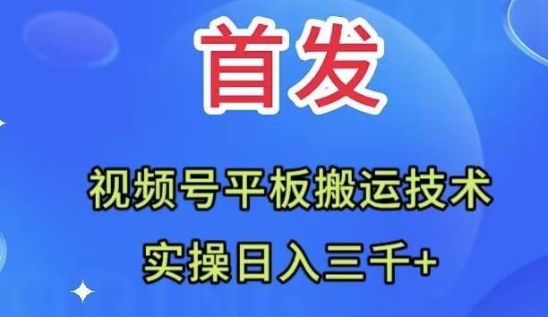 （7843期）全网首发：视频号平板搬运技术，实操日入三千＋-千寻创业网