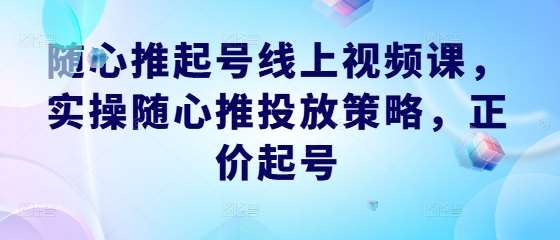 随心推起号线上视频课，实操随心推投放策略，正价起号-千寻创业网