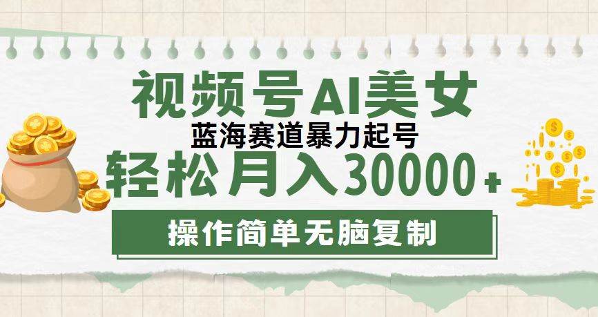 （12087期）视频号AI美女跳舞，轻松月入30000+，蓝海赛道，流量池巨大，起号猛，无…-千寻创业网