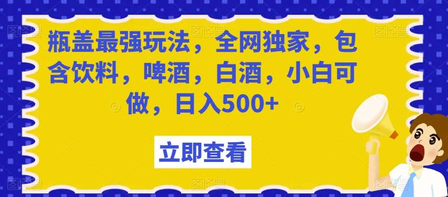 瓶盖最强玩法，全网独家，包含饮料，啤酒，白酒，小白可做，日入500+【揭秘】-千寻创业网