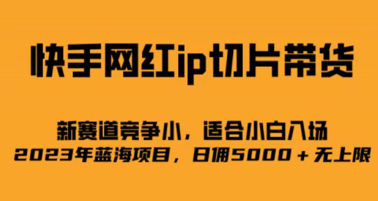 快手网红ip切片新赛道，竞争小事，适合小白 2023蓝海项目-千寻创业网