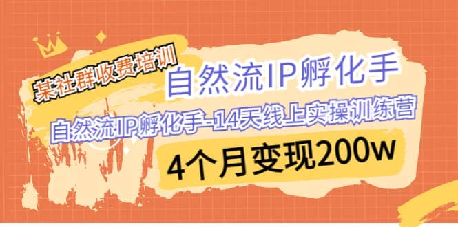 某社群收费培训：自然流IP 孵化手-14天线上实操训练营 4个月变现200w-千寻创业网