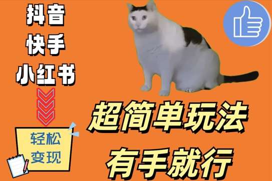 超简单玩法，有手就行，靠猫咪视频日入500+【揭秘】-千寻创业网