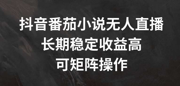 抖音番茄小说无人直播，长期稳定收益高，可矩阵操作【揭秘】-千寻创业网