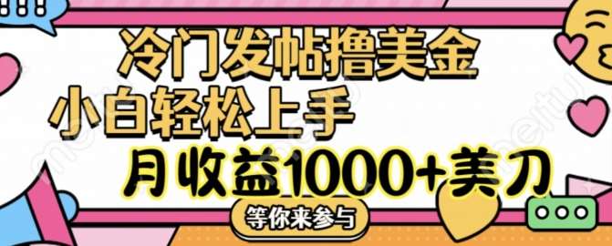 冷门发帖撸美金项目，月收益1000+美金，简单无脑，干就完了【揭秘】-千寻创业网