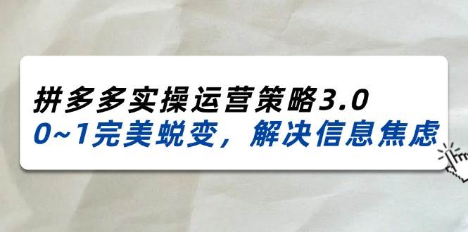 （11658期）2024_2025拼多多实操运营策略3.0，0~1完美蜕变，解决信息焦虑（38节）-千寻创业网