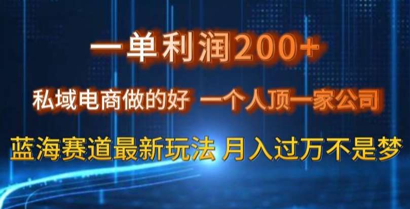 一单利润200私域电商做的好，一个人顶一家公司蓝海赛道最新玩法【揭秘】-千寻创业网