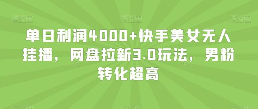 单日利润4000+快手美女无人挂播，网盘拉新3.0玩法，男粉转化超高【揭秘】-千寻创业网