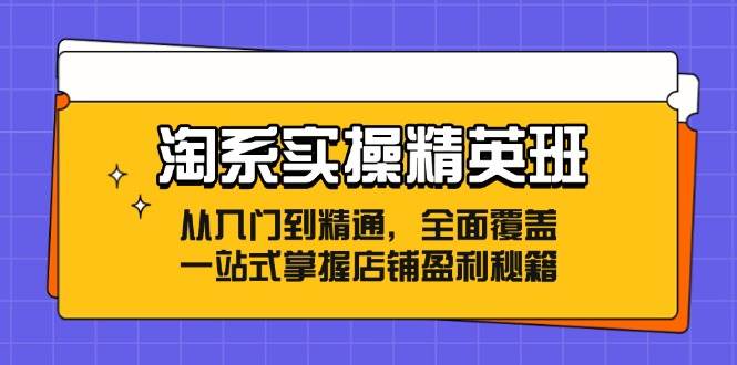 （12276期）淘系实操精英班：从入门到精通，全面覆盖，一站式掌握店铺盈利秘籍-千寻创业网