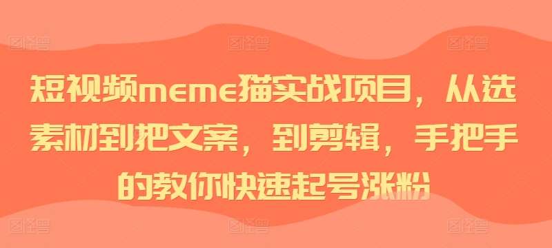 短视频meme猫实战项目，从选素材到把文案，到剪辑，手把手的教你快速起号涨粉-千寻创业网