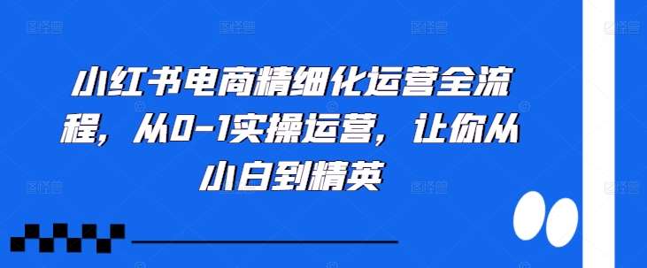 小红书电商精细化运营全流程，从0-1实操运营，让你从小白到精英-千寻创业网