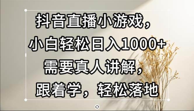 （13075期）抖音直播小游戏，小白轻松日入1000+需要真人讲解，跟着学，轻松落地-千寻创业网