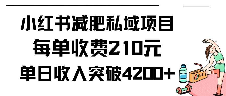 （9466期）小红书减肥私域项目每单收费210元单日成交20单，最高日入4200+-千寻创业网