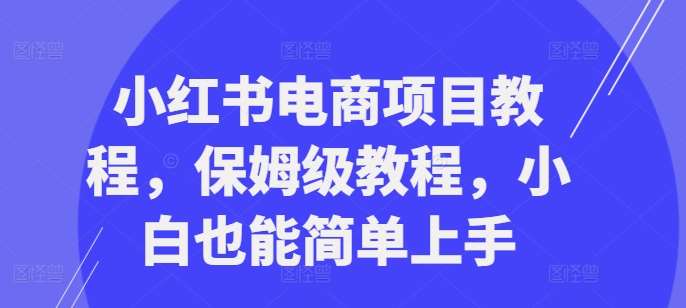 小红书电商项目教程，保姆级教程，小白也能简单上手-千寻创业网