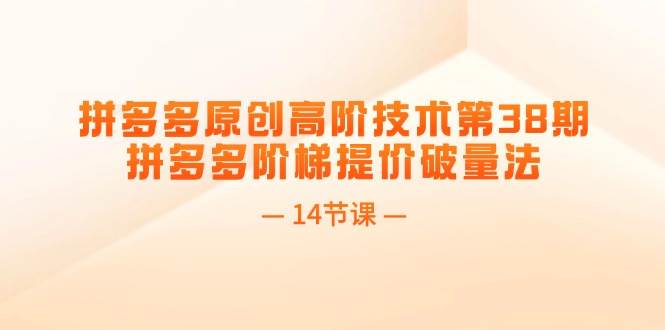 （11704期）拼多多原创高阶技术第38期，拼多多阶梯提价破量法（14节课）-千寻创业网