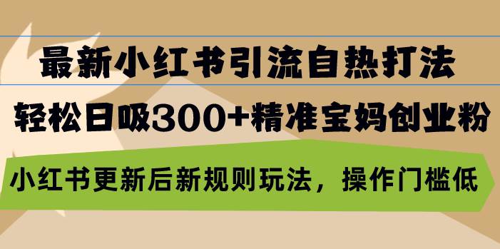 （13145期）最新小红书引流自热打法，轻松日吸300+精准宝妈创业粉，小红书更新后新…-千寻创业网