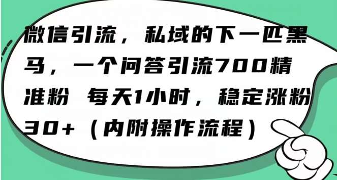 怎么搞精准创业粉？微信新赛道，每天一小时，利用Ai一个问答日引100精准粉-千寻创业网