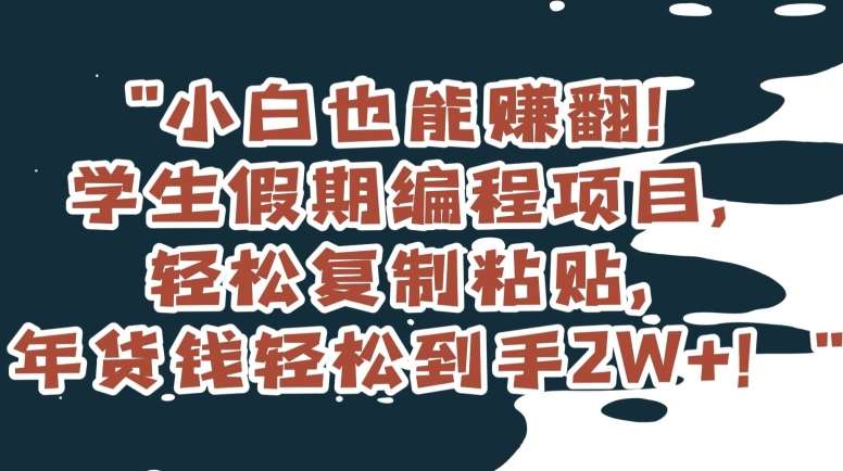 小白也能赚翻！学生假期编程项目，轻松复制粘贴，年货钱轻松到手2W+【揭秘】-千寻创业网