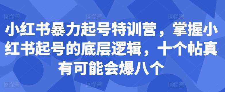 小红书暴力起号特训营，掌握小红书起号的底层逻辑，十个帖真有可能会爆八个-千寻创业网