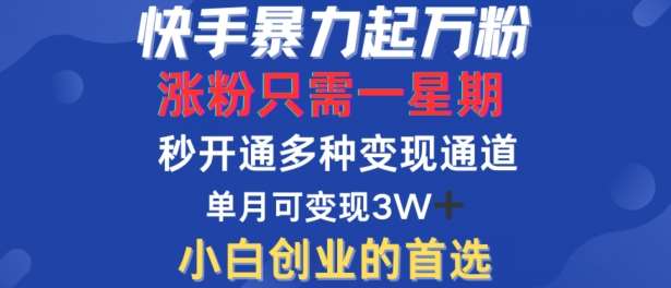 快手暴力起万粉，涨粉只需一星期，多种变现模式，直接秒开万合，单月变现过W【揭秘】-千寻创业网