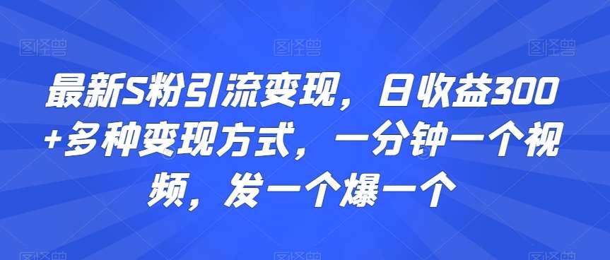 最新S粉引流变现，日收益300+多种变现方式，一分钟一个视频，发一个爆一个【揭秘】-千寻创业网