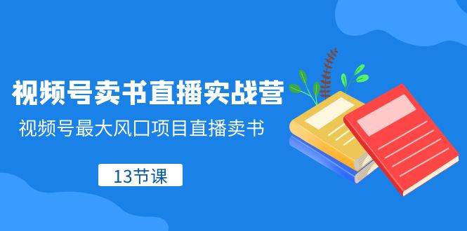 （8080期）视频号-卖书直播实战营，视频号最大风囗项目直播卖书（13节课）-千寻创业网