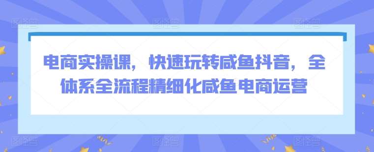 电商实操课，快速玩转咸鱼抖音，全体系全流程精细化咸鱼电商运营-千寻创业网