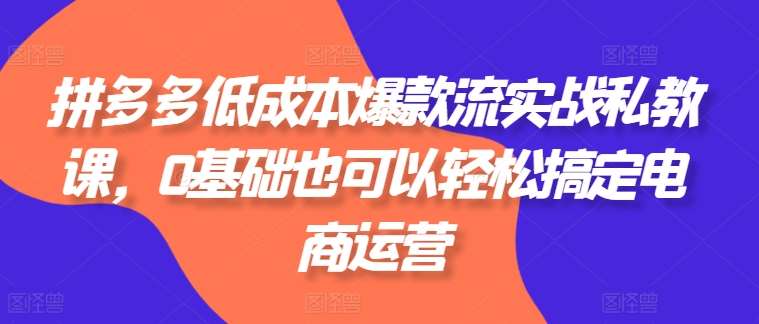 拼多多低成本爆款流实战私教课，0基础也可以轻松搞定电商运营-千寻创业网