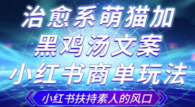 治愈系萌猫加+黑鸡汤文案，小红书商单玩法，3~10天涨到1000粉，一单200左右-千寻创业网