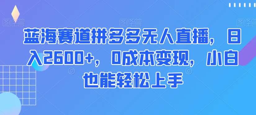 蓝海赛道拼多多无人直播，日入2600+，0成本变现，小白也能轻松上手【揭秘】-千寻创业网