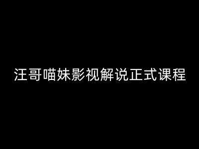 汪哥影视解说正式课程：剪映/PR教学/视解说剪辑5大黄金法则/全流程剪辑7把利器等等-千寻创业网